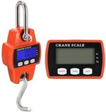 300Kg Digital Hanging Mini crane Weighing Scale