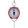 Hanson 100KG Weighing Scale Hook type