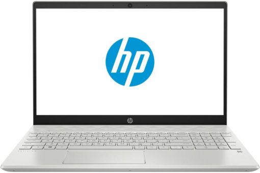 HP ProBook 450 G7 Notebook (8MH03EA)