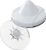 Cross Point Ostra & Shell D40