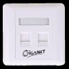 Giganet Double faceplate