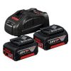 bosch 2 x GBA 18V 5.0Ah + GAL 1880 CV Professional Starter Set